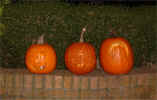 pumpkin-x3-1.jpg (148400 bytes)